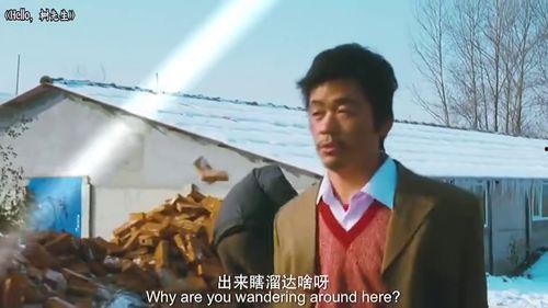 王宝强是怎么当上演员的