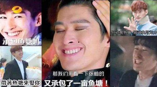 张翰表情包 鱼塘,鱼塘里的欢乐时光